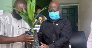 Read more about the article Kwesimintsim Farmers To Get 20,000 Disease-Free Palm, Coconut Seedlings