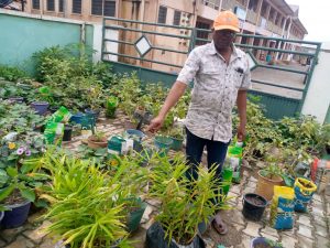 Read more about the article PROMOTING URBAN AGRICULTURE FOR FOOD SECURITY AND JOB CREATION THROUGH INNOVATIVE TECHNOLOGIES IN THE EFFIA-KWESIMINTSIM MUNICIPALITY